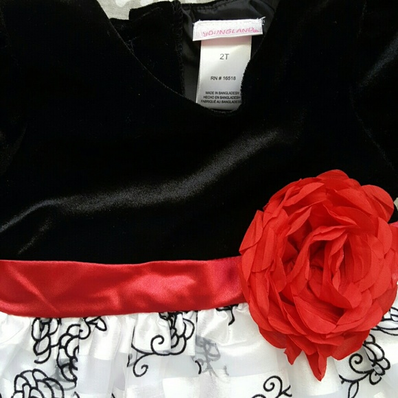 **SOLD** Youngland Christmas Holiday Velvet Floral Stripe Dress with Red Flower - Picture 2 of 6